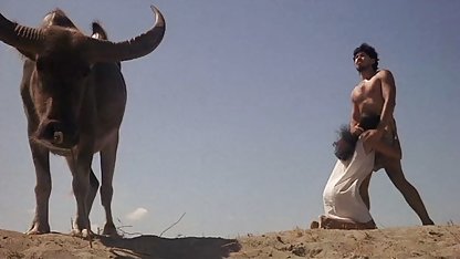 , انجمن جوان, سگ فیلم سکسی پسر جوان ماده, انگشت, مهبل, دسته بندی